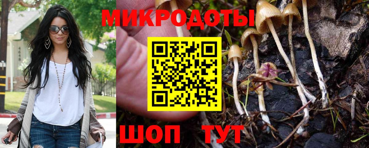 Лыткарино  Псилоцибиновые грибы Psilocybe  Вход с VPN  Псилоцибиновые грибы GOLDEN TEACHER 